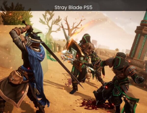 Stray Blade PS5 Get Ready for the Most Exciting Action-Adventure Game - topgameteaser.com images